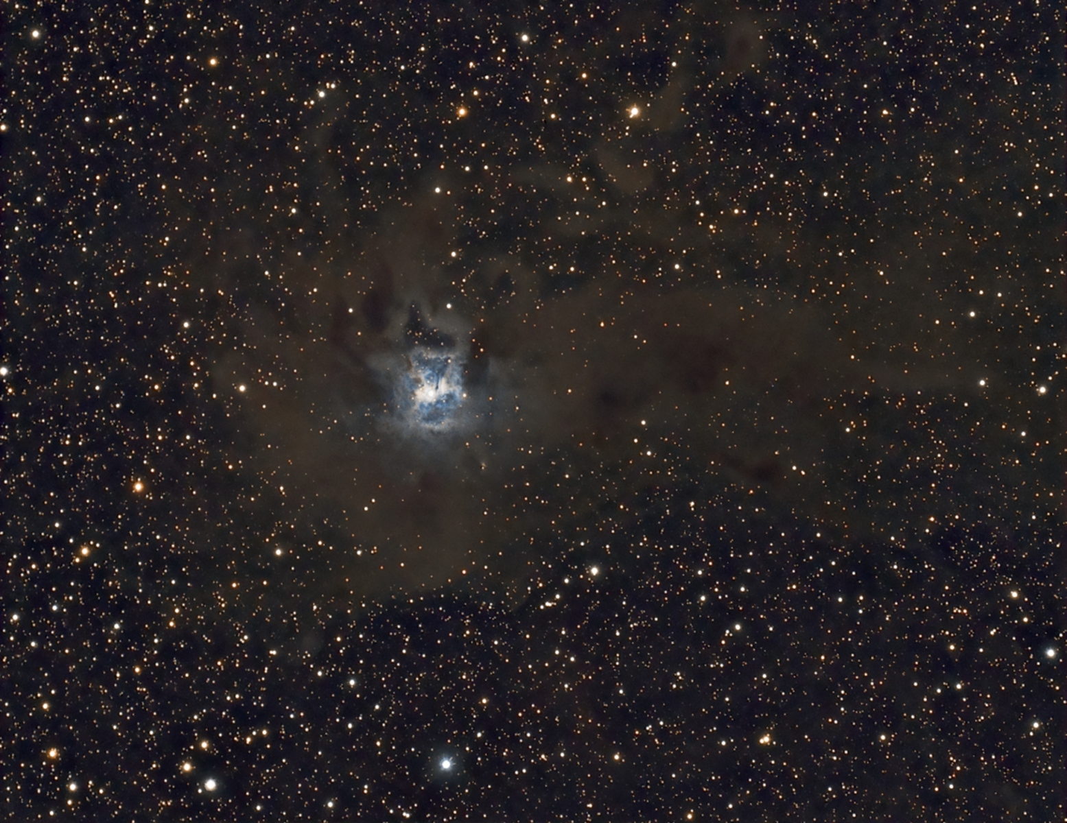Mgławica Irys   NGC7023