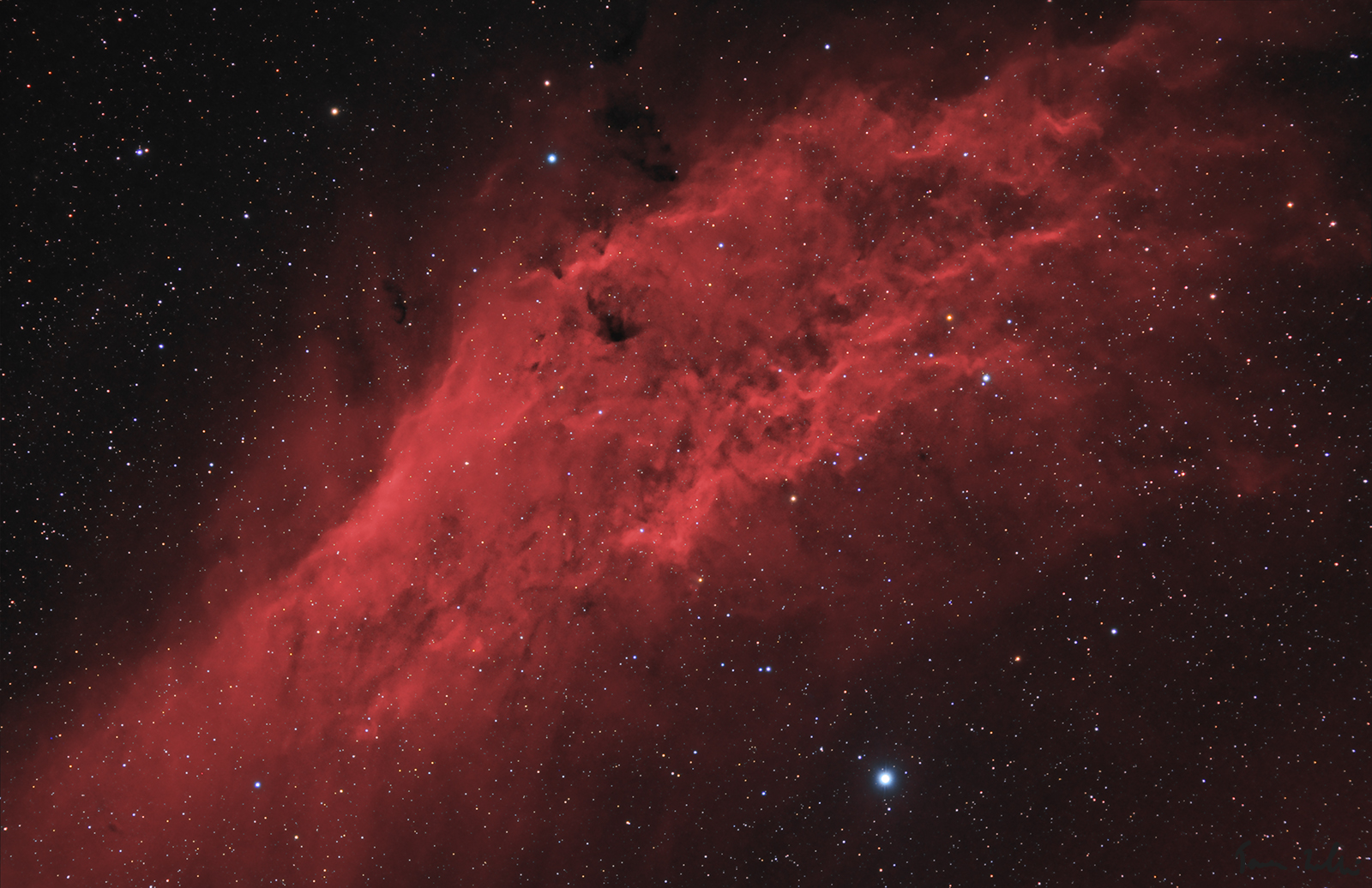 NGC1499 (kalifornia)