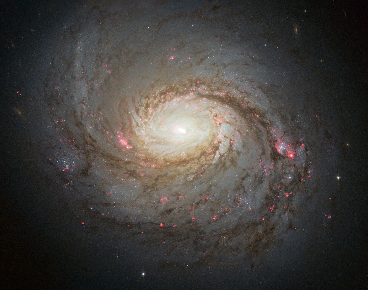 1200px-Messier_77_spiral_galaxy_by_HST.j