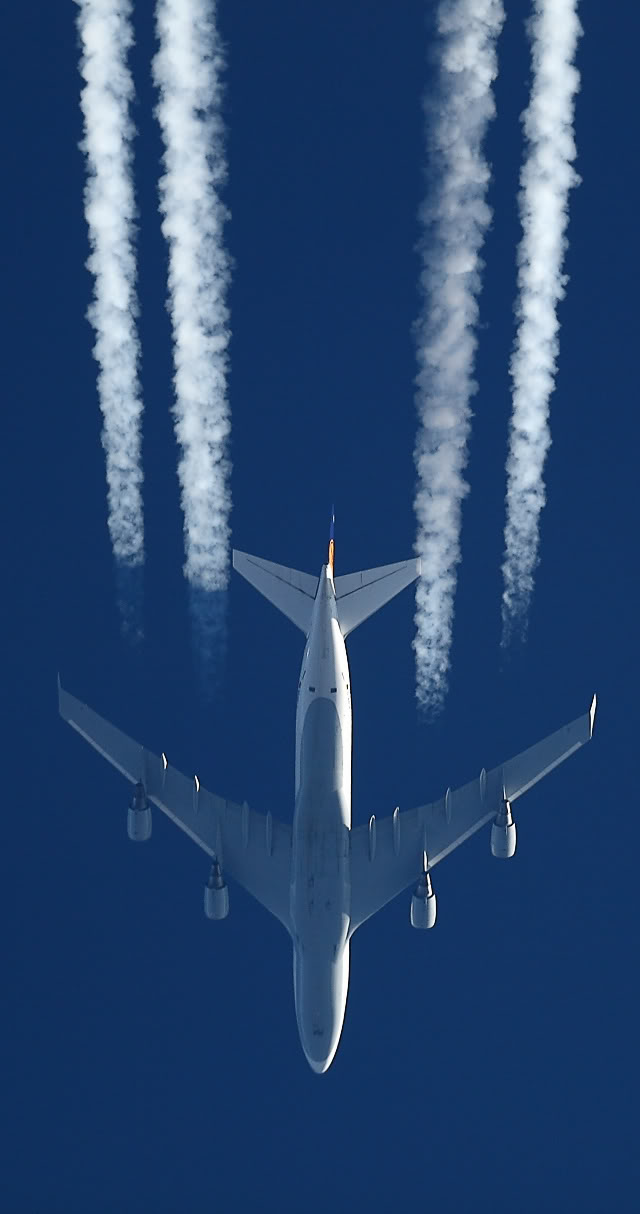 1219-B747-Lufthansa2.jpg