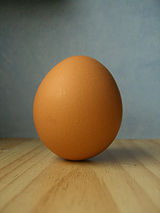 160px-Egg.jpg