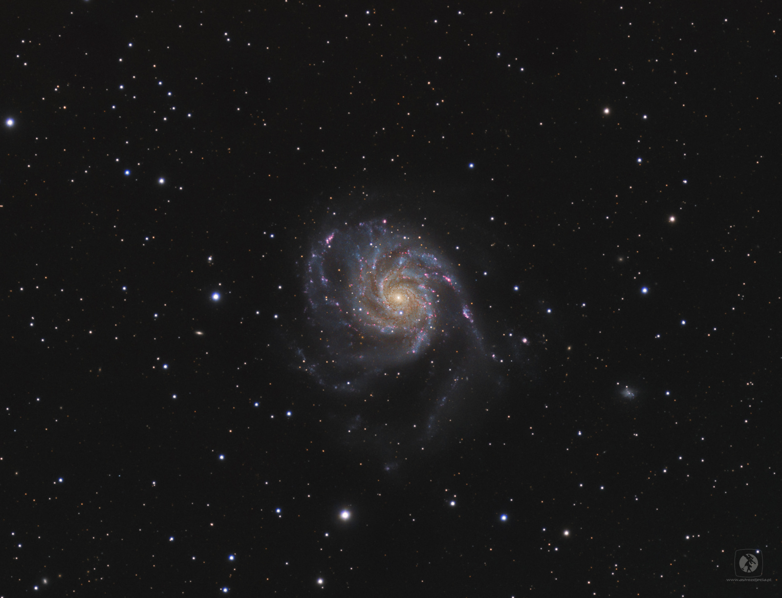 18-M101-full.jpg