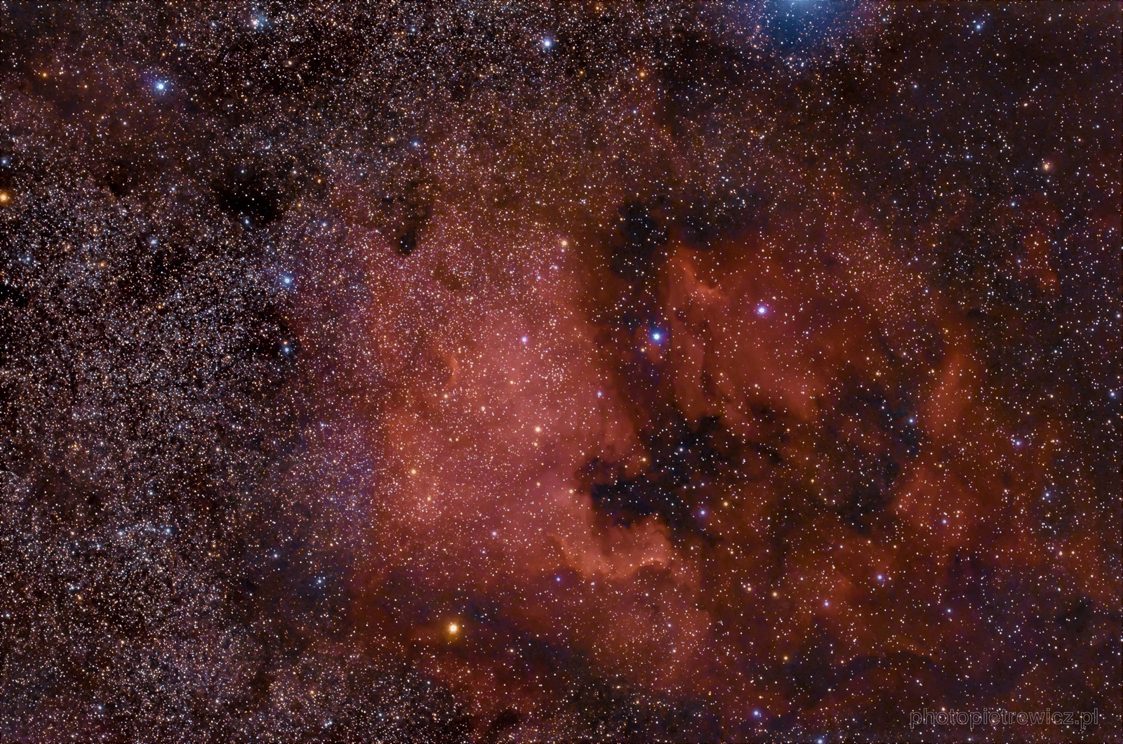 Amelican_NGC7000&IC5070.jpg