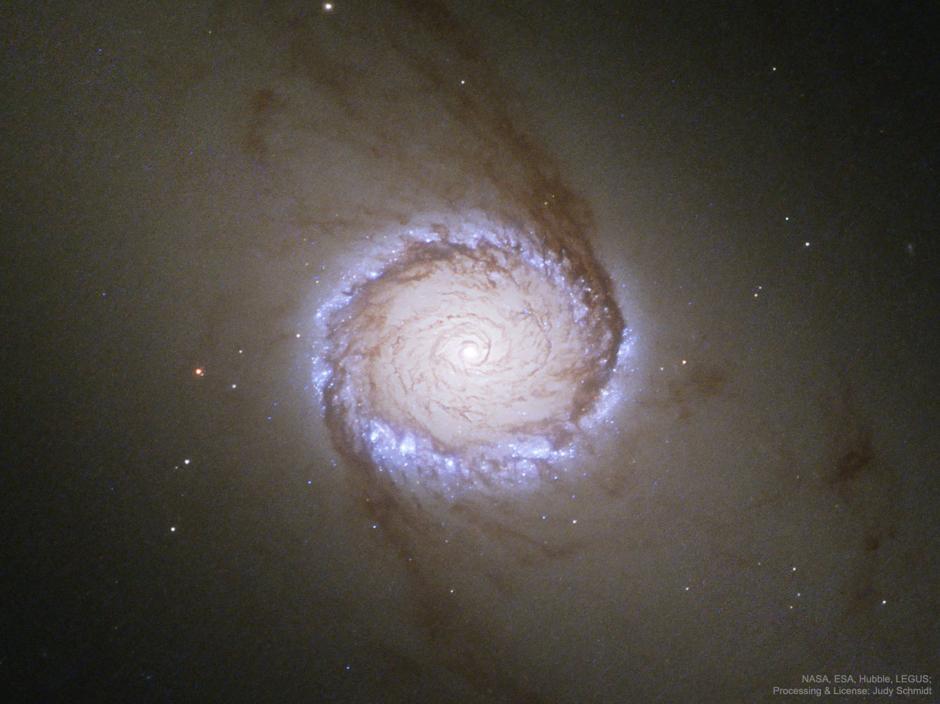 NGC1512_Schmidt_1342.jpg