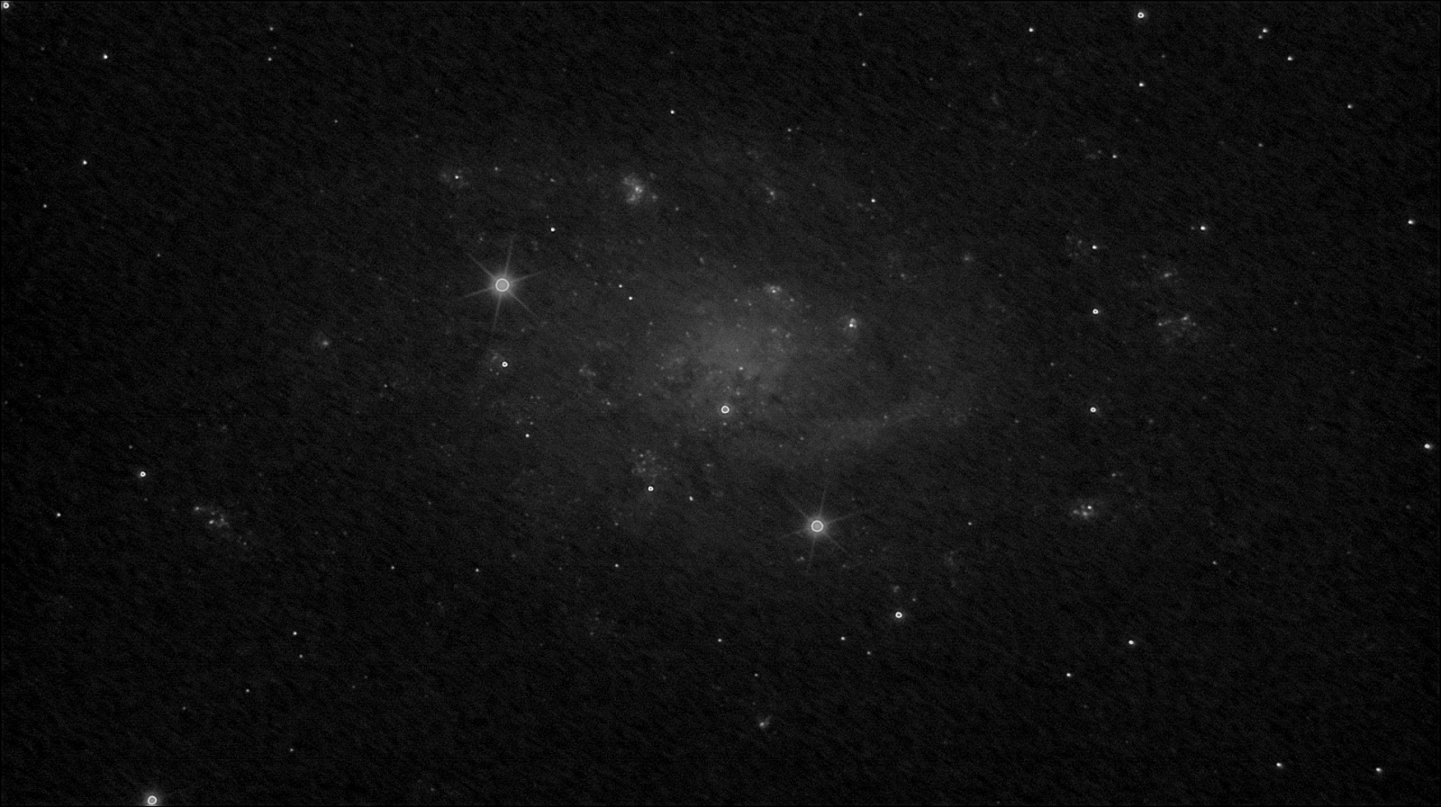 NGC2403-1400x1.png