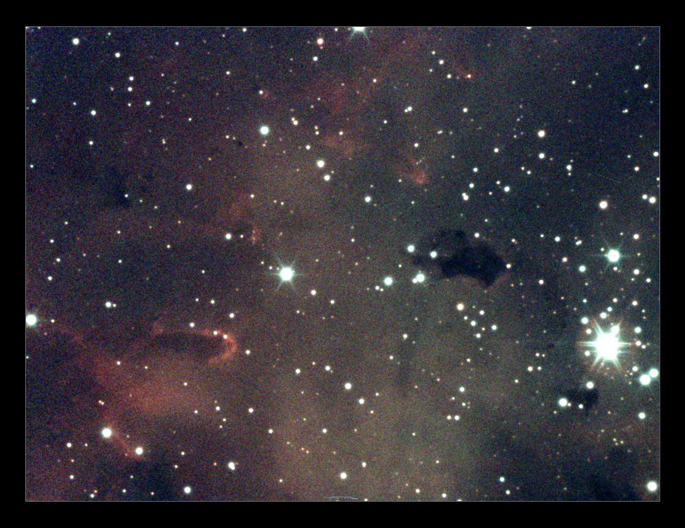 NGC281-ASI224MCmod.jpg