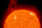What does a solar prominence look like in three dimensions?