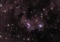 Galaxies of the NGC 7771 Group are featured in