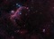 Seen as a seagull and a duck, these nebulae are