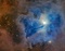 Like delicate cosmic petals, these clouds of interstellar dust and gas