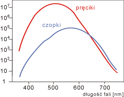 cz-oka-wykres1a.gif
