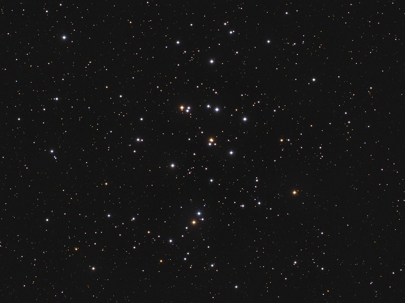 m44_2011_800.jpg