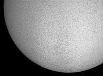 sun-1225.jpg