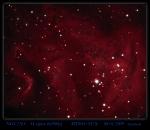 NGC2264.jpg