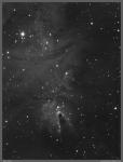 NGC2264_oc__Ha.jpg