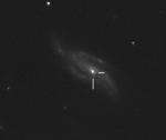 SN_NGC4088_20090413.jpg