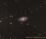 NGC3953_crop.jpg
