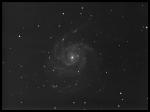 M101lysy.jpg