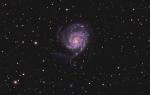M101_FINALwww.jpg