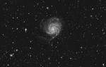 M101_L.jpg