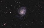 M101_FINAL2.jpg
