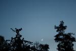 2010-05-16 21h35CWE Księżyc i Wenus.jpg