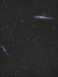 NGC4631 new.jpg