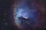 NGC 281Pacman micro.jpg
