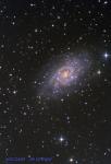 NGC2403 ostro.jpg