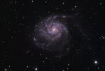 M101_fianl_ver1.jpg
