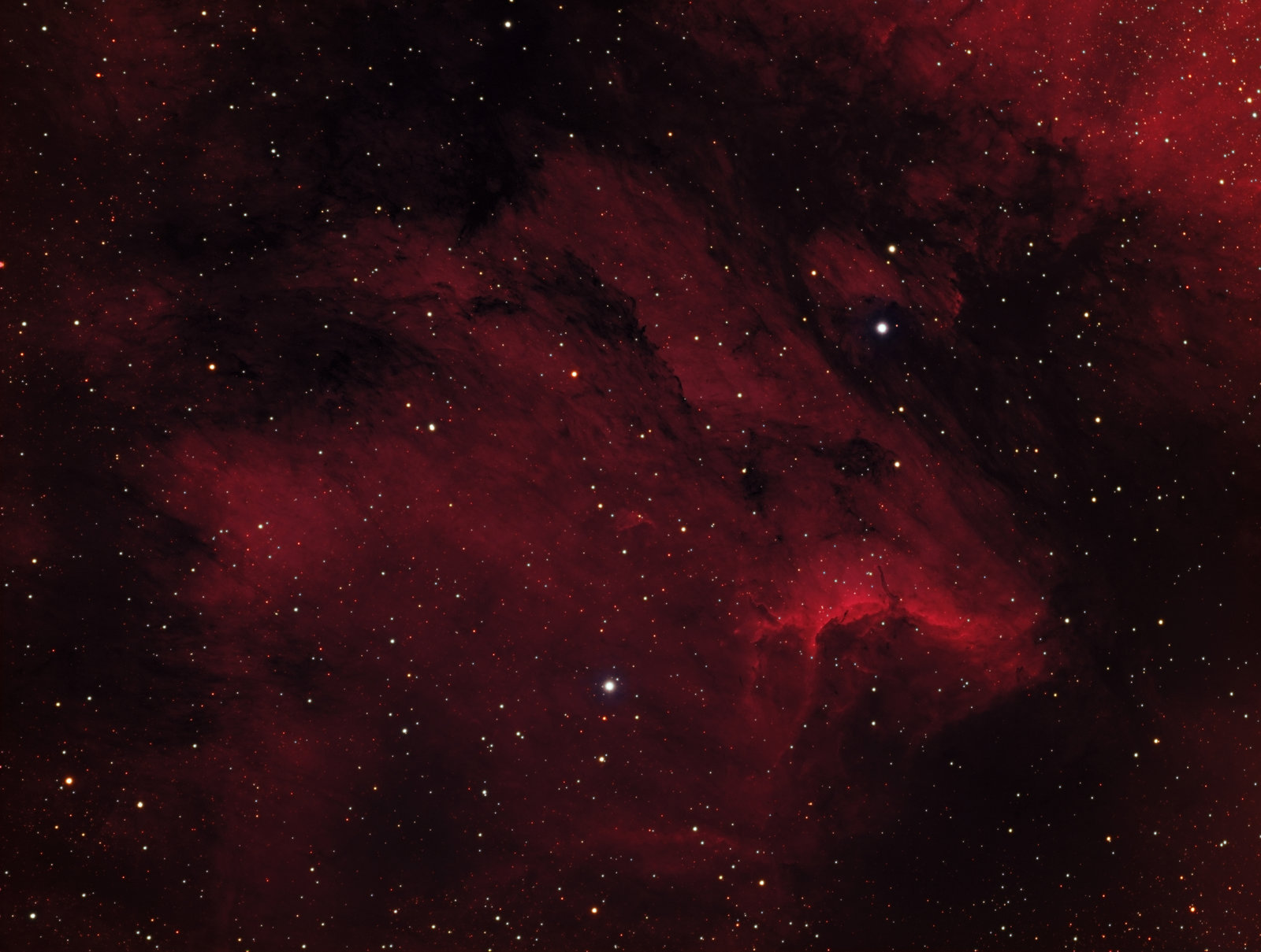 IC5070 - RGB.jpg