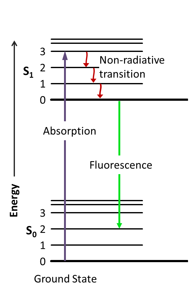 Jablonski_Diagram_of_Fluorescence_Only.png.9791dec343be41cb61875861910df852.png
