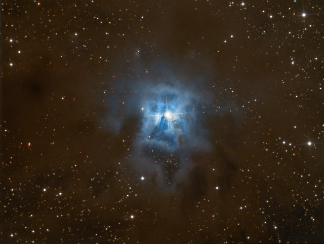 NGC7023 Iris.jpg