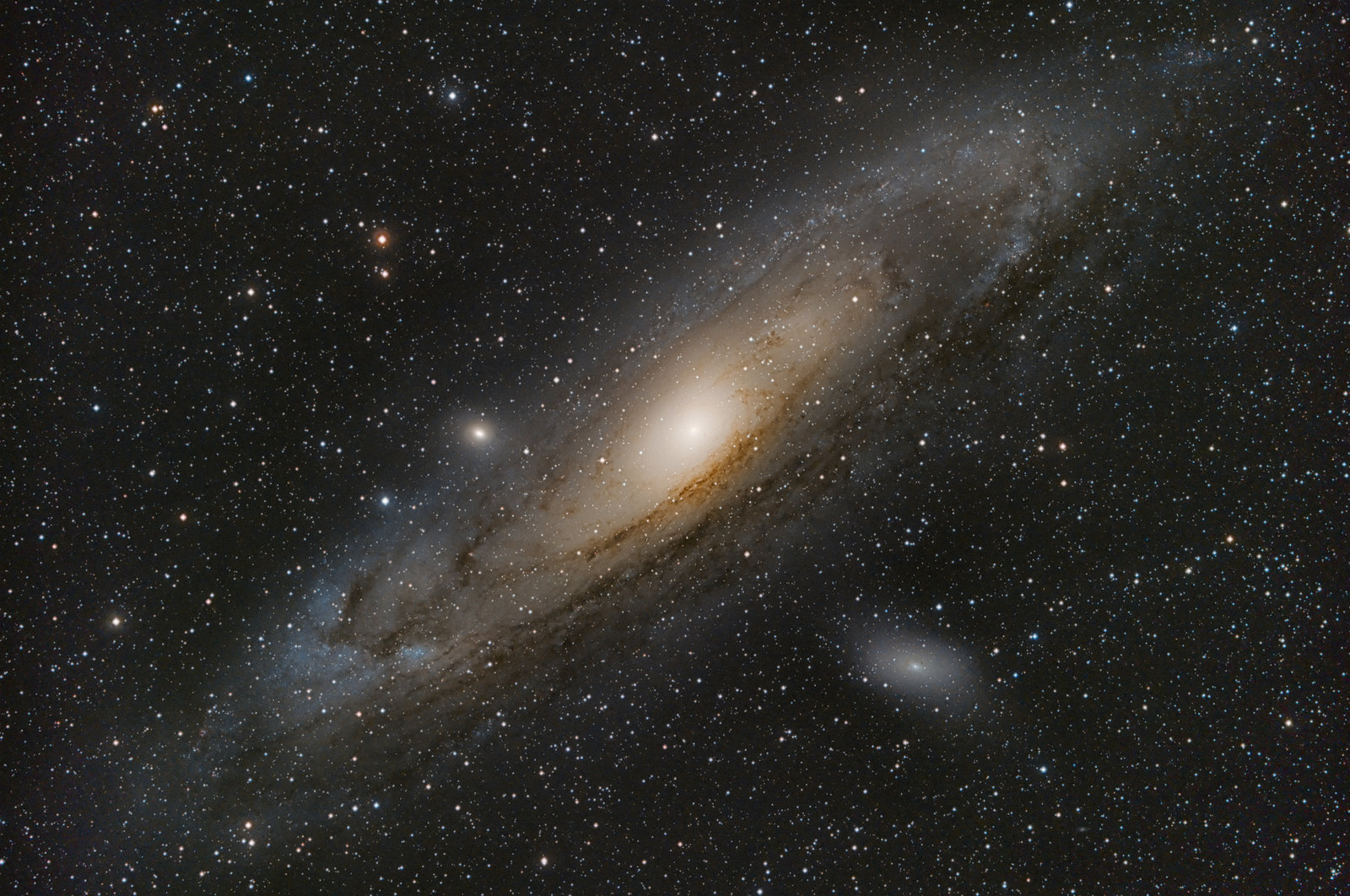 Andromeda median 3 sml.jpg