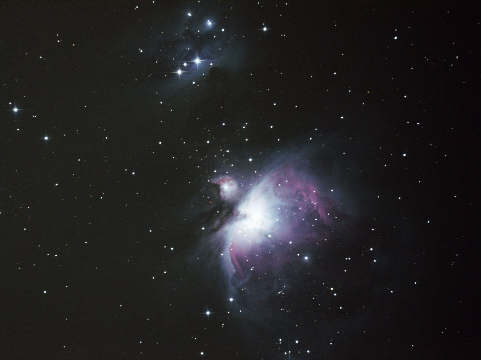 M42forum.jpg