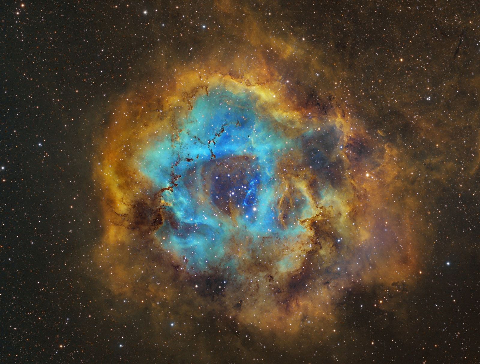rozeta-astrobogdan.jpg