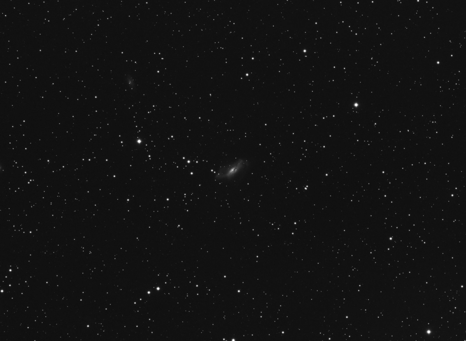NGC 2146    L 54x90   APO 130 f5.5   w2.jpg