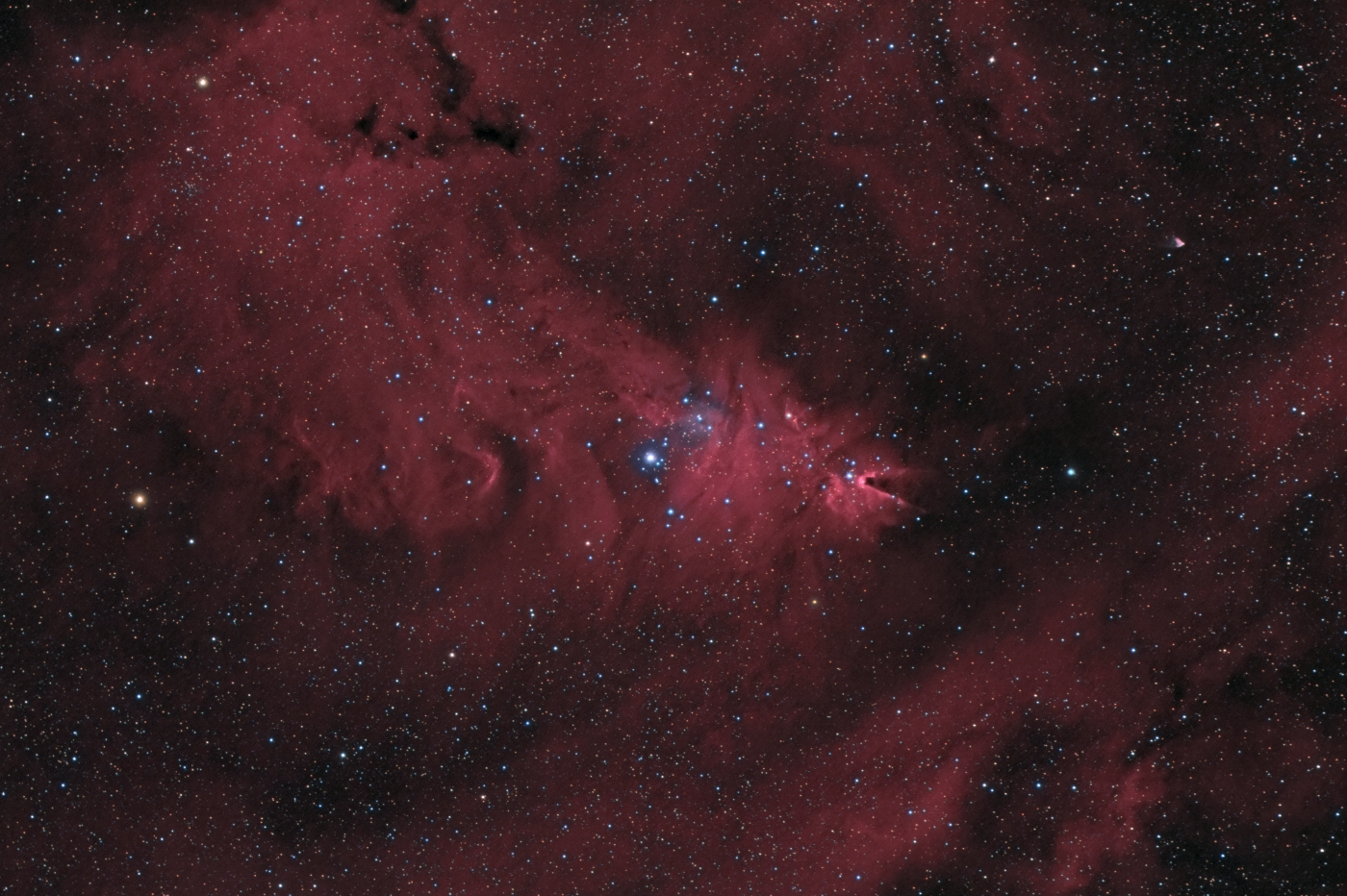 5a565d55cdfc5_NGC2264hargbfinpublic.jpg.cdfcf09a9afe3cb0fc91762a268c4e34.jpg