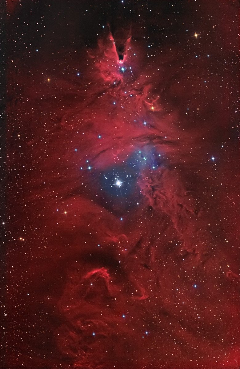 NGC2264.thumb.jpg.a4061b0b296c752d95d7bdf0621a0cb9.jpg