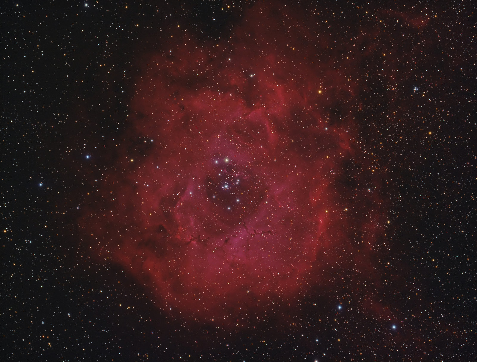NGC2239vmk.jpg