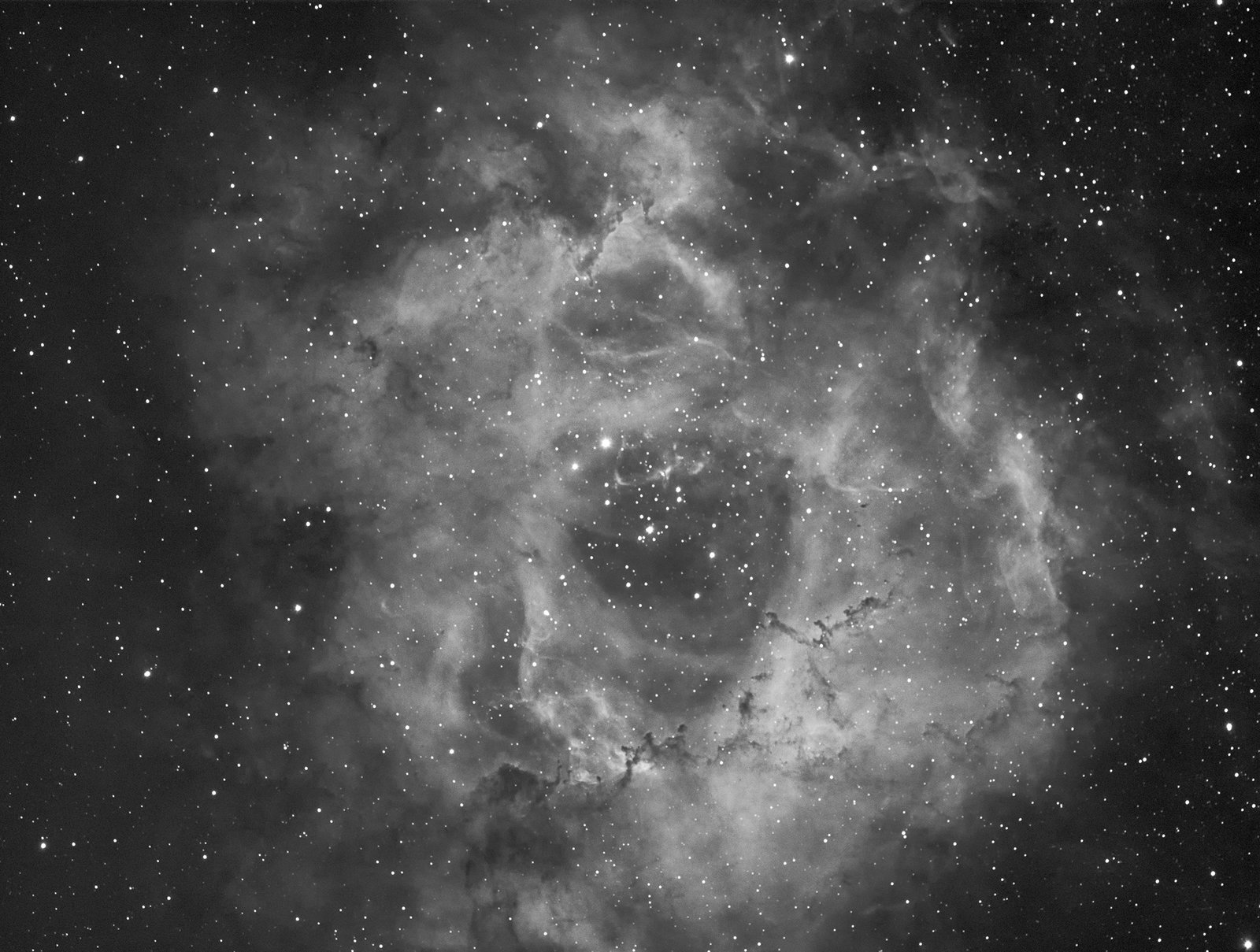 NGC2237 Ha PIX PS 50% resize.jpg