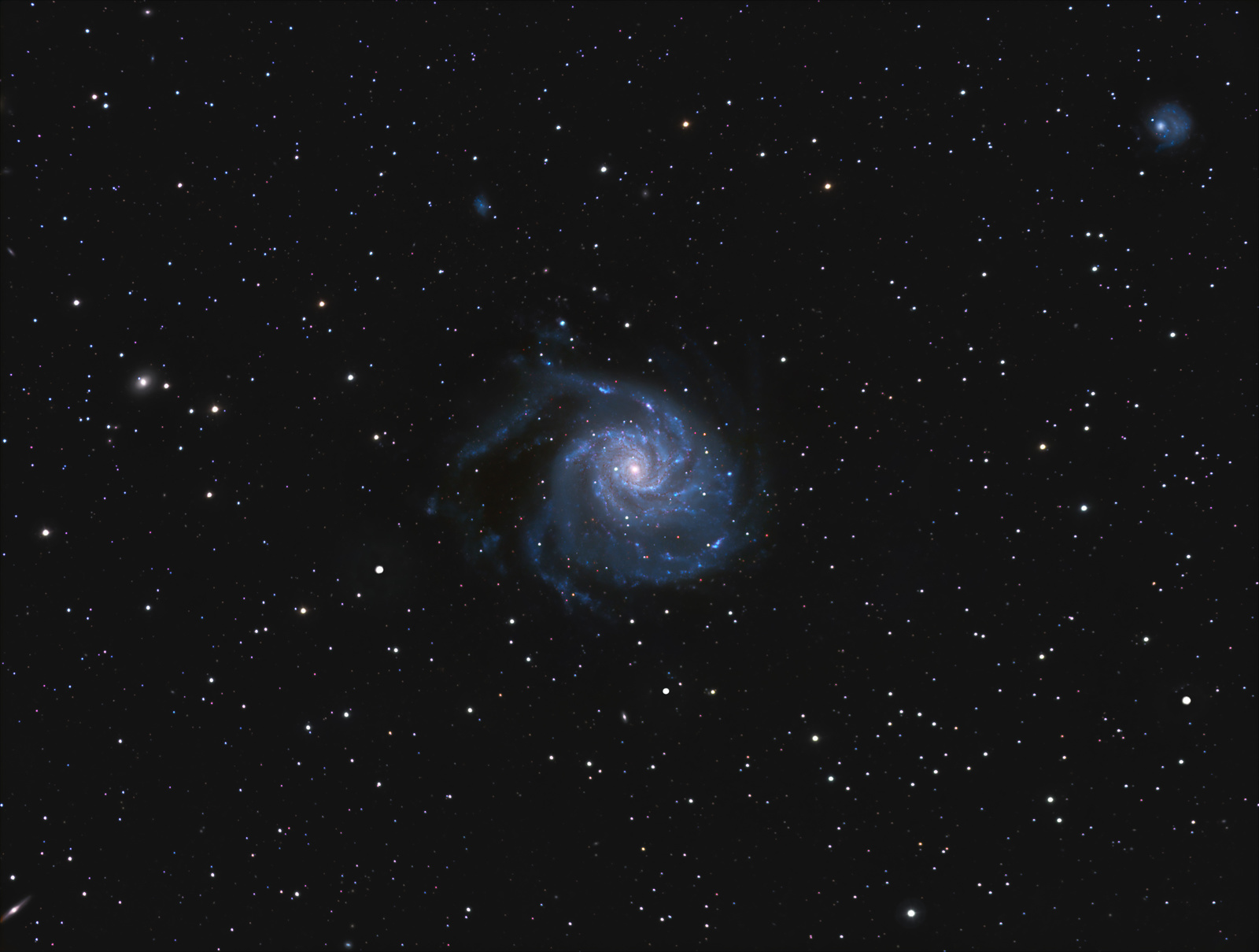 1)WOJTEK PRAWIDŁOWY M101.jpg
