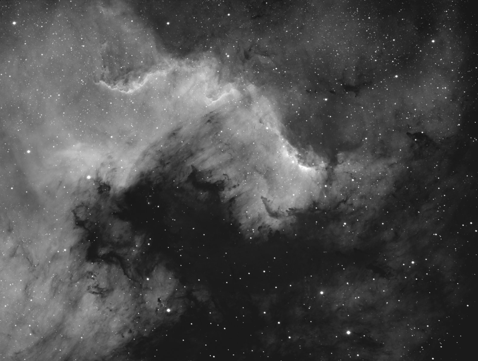 WOJTEK NGC7000-R.jpg