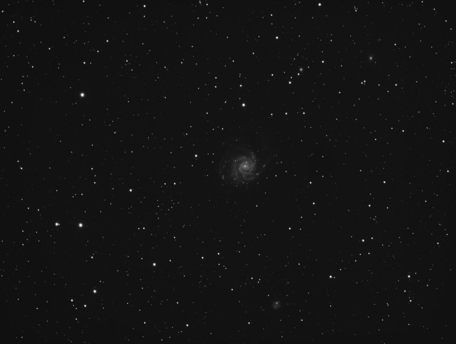 M101_pop_.jpg