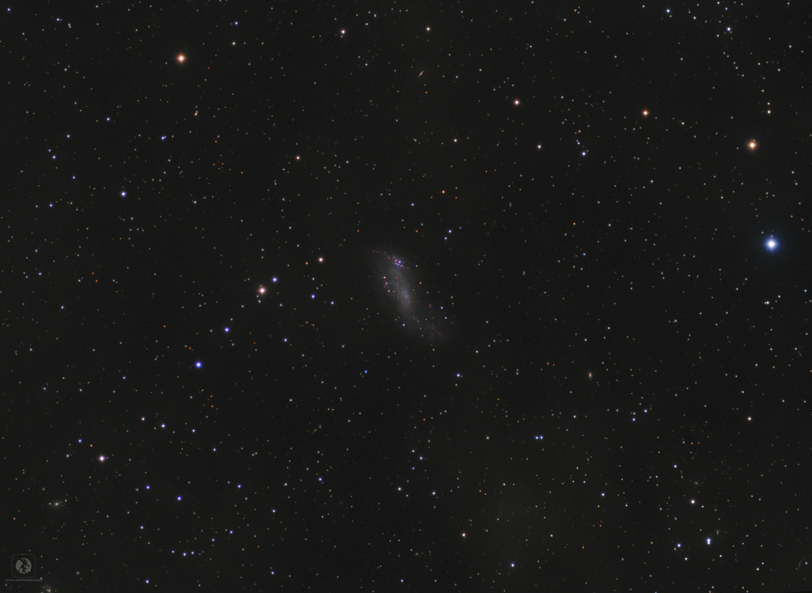 10-NGC2574-small.thumb.jpg.b0fa53d4c9f1c8c66d01bb2bdabd29b2.jpg