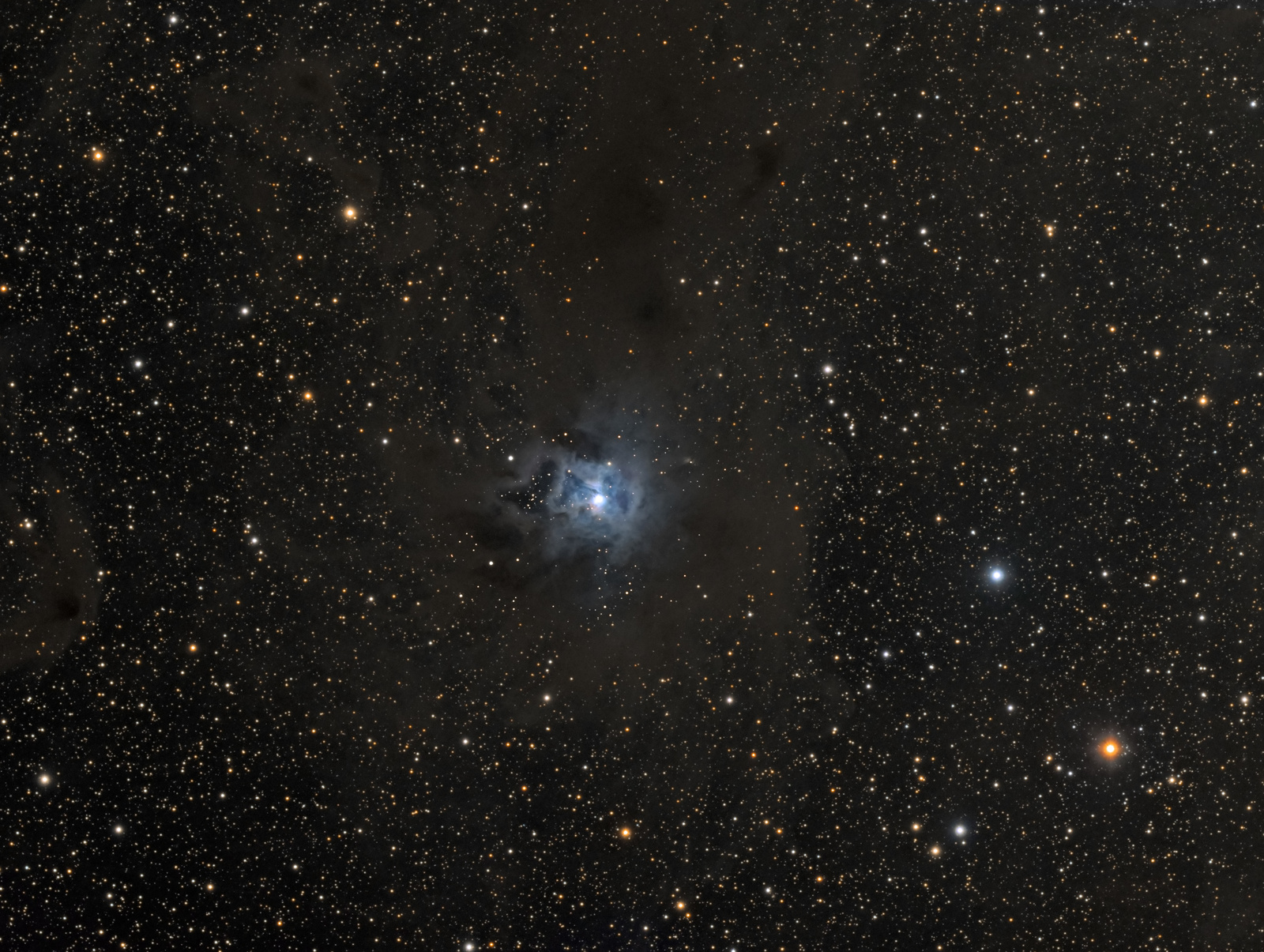 1240768983_NGC7023LRGB.thumb.jpg.eaaaa4b5a4e3d47fa0af88a779e1dccf.jpg
