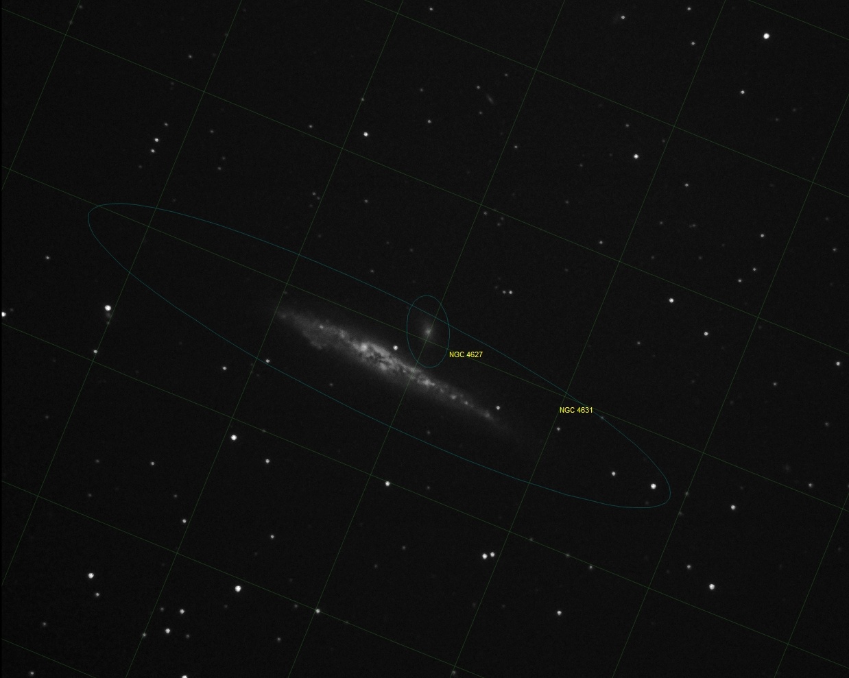2061162354_NGC4631WielorybBWopis.jpg.56bd7906fcb326f8fe17c882eb4bb129.jpg