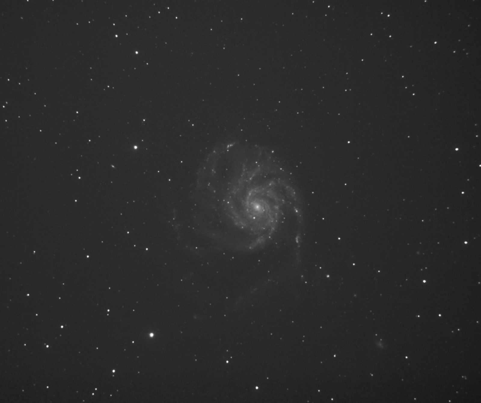 M101.thumb.jpg.92a3e92759648c0dcebfce9509f9b7a3.jpg