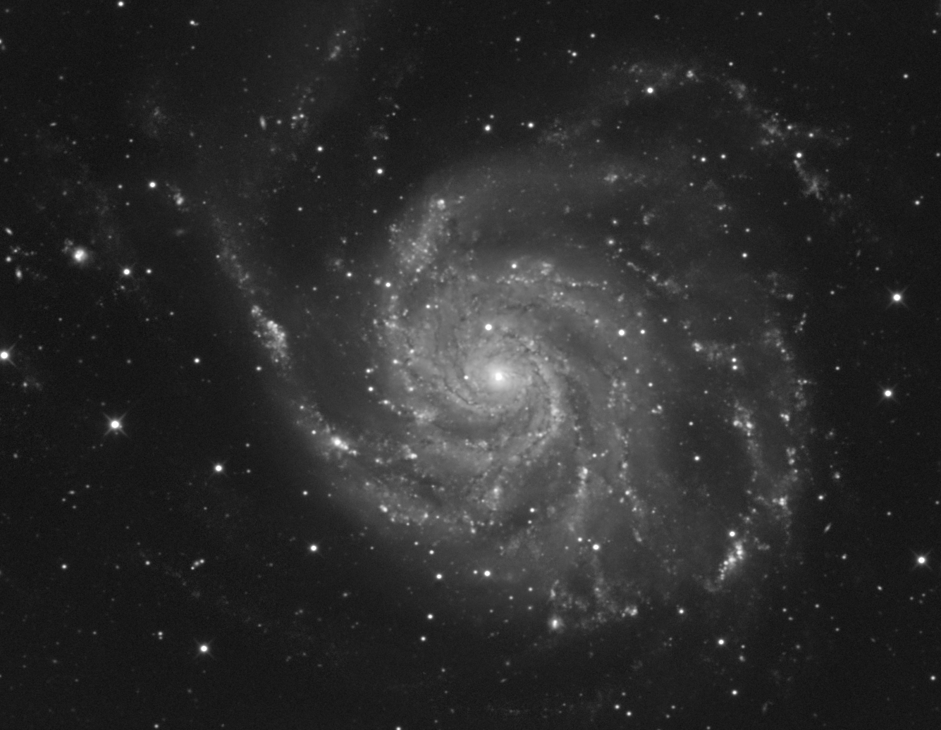 M101_L.png.50f9dc24f8a9afbcc30264b1f344d6a6.png