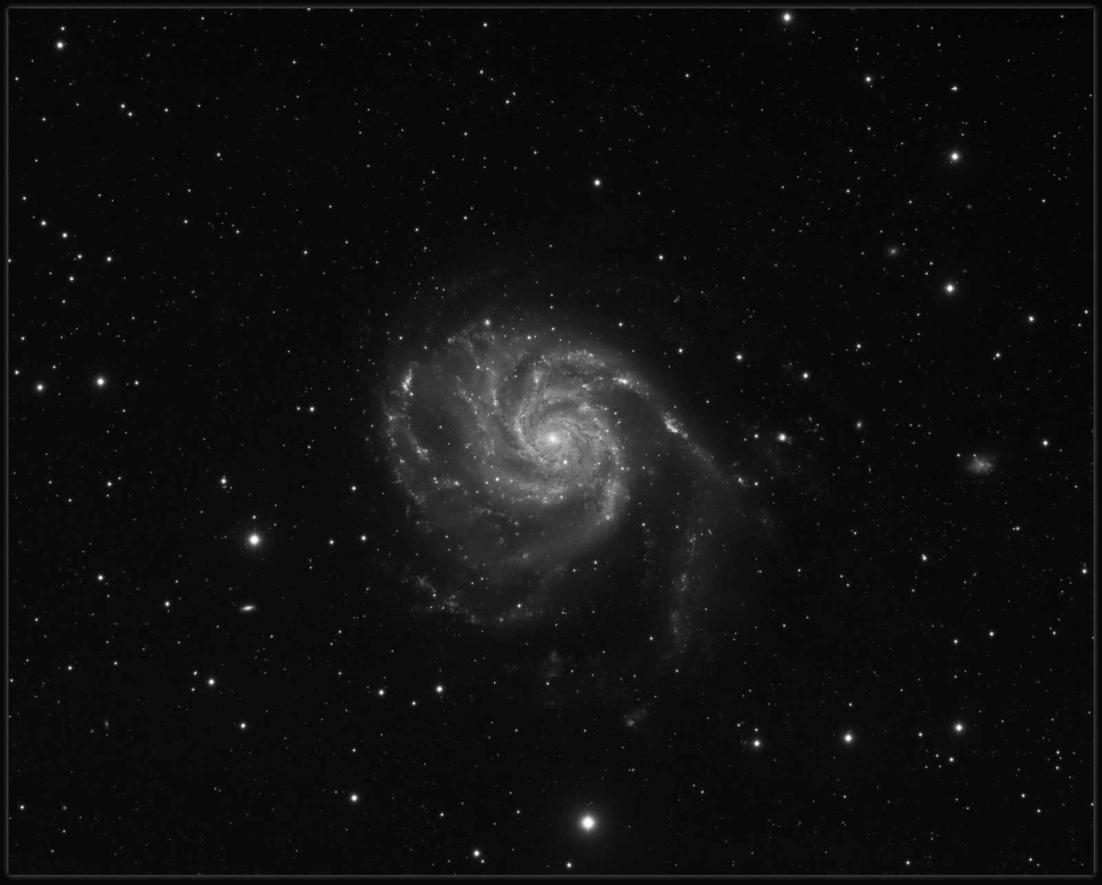 M101_L_koniec_jpeg.jpg